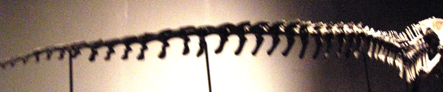 Random header image... Refresh for more!